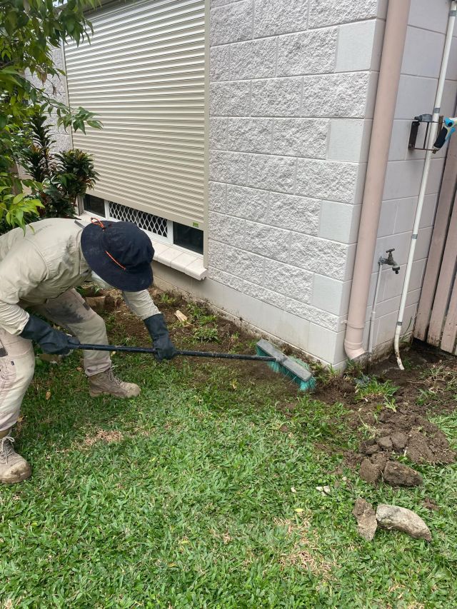 Tsv Termite Specialist 10