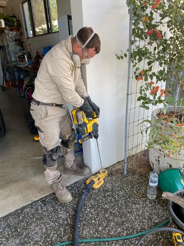 Tsv Termite Specialist 20