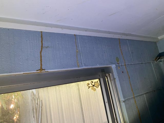 Tsv Termite Specialist 05