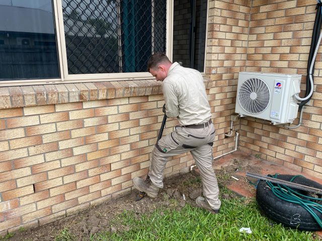 Tsv Termite Specialist 34