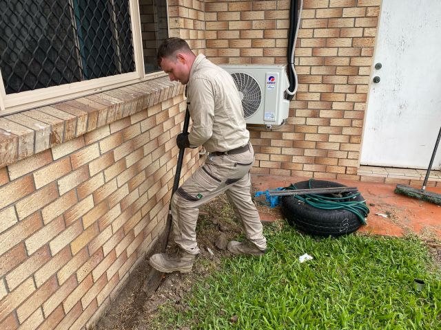 Tsv Termite Specialist 40