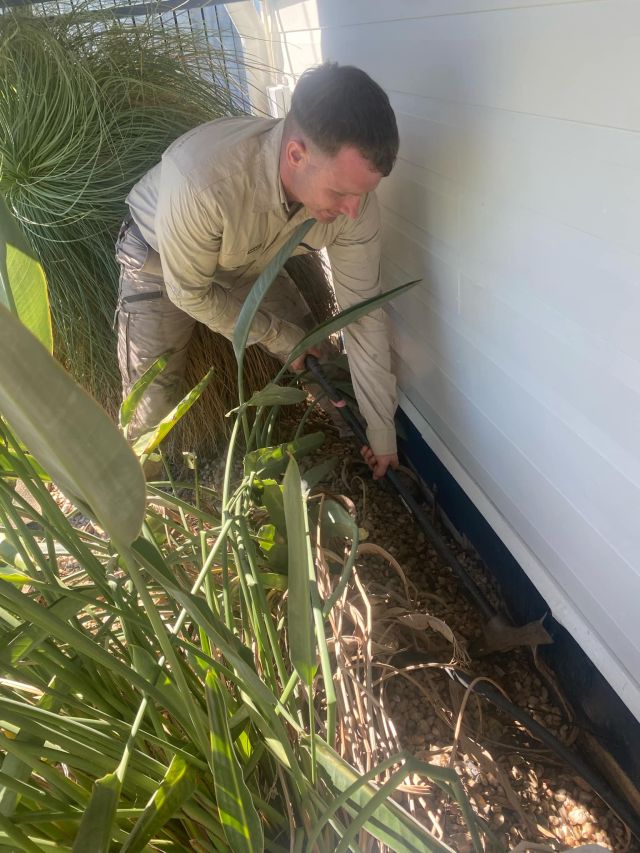 Tsv Termite Specialist 29