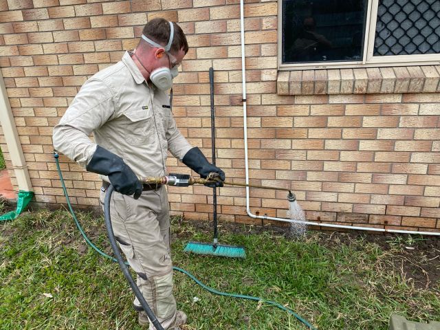 Tsv Termite Specialist 21