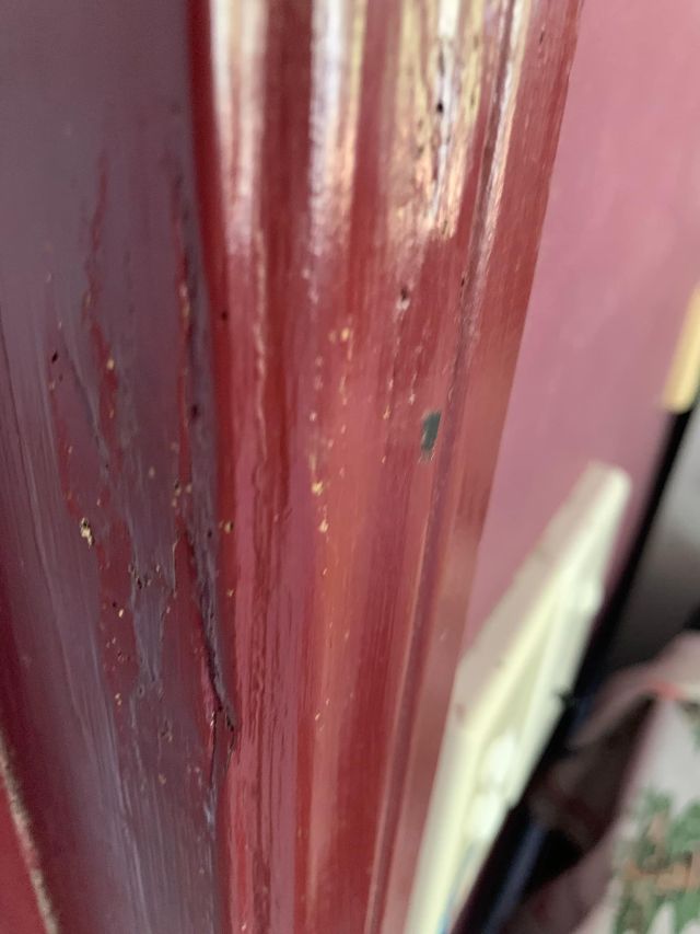 Tsv Termite Specialist 35