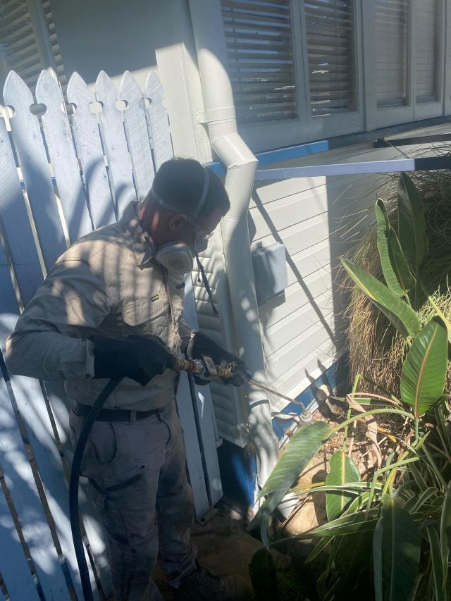 Tsv Termite Specialist 01