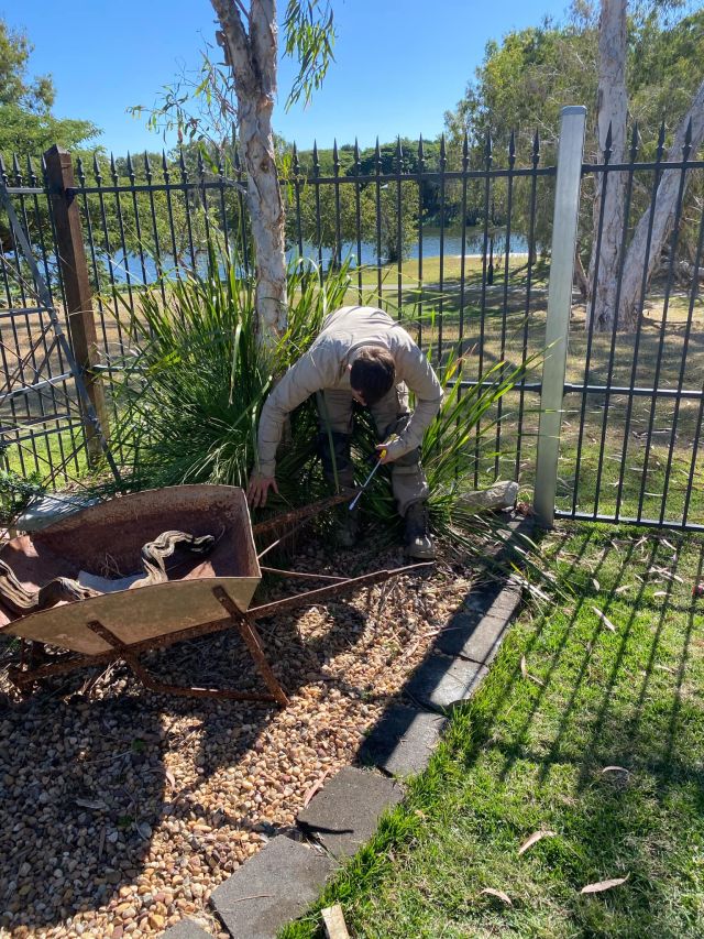 Tsv Termite Specialist 22