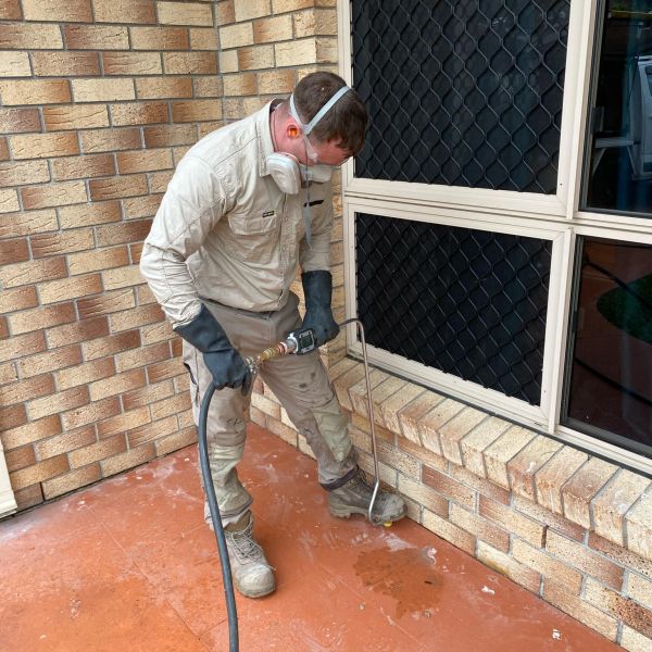 Townsville Termite Specialist