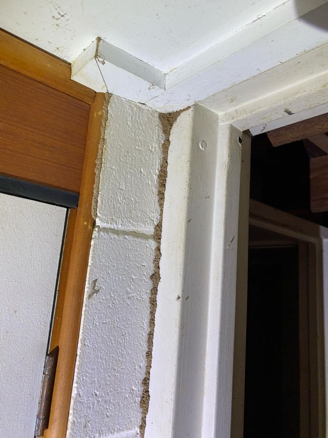 Tsv Termite Specialist 39