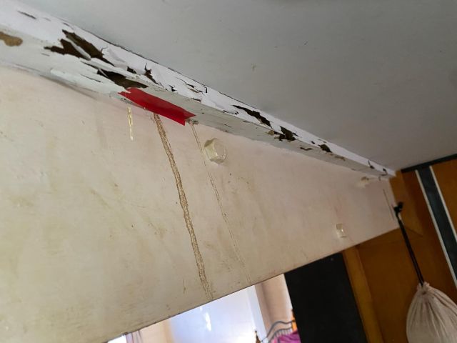 Tsv Termite Specialist 31