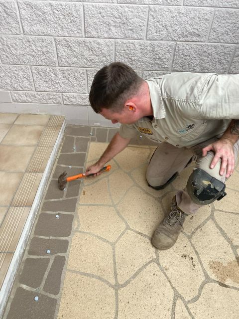 Building And Pest Inspections