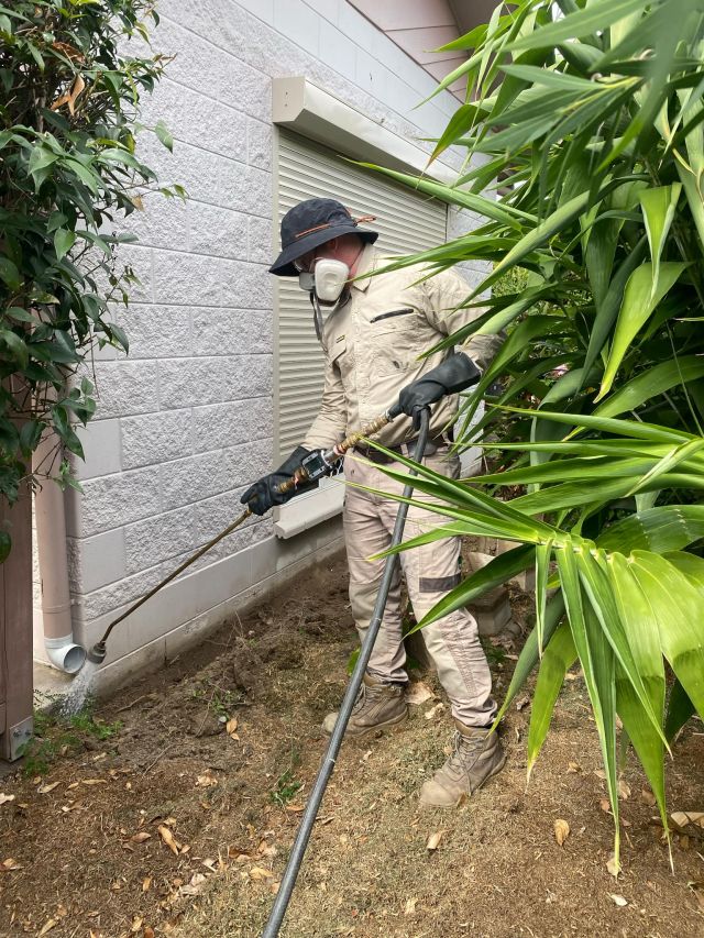 Tsv Termite Specialist 13