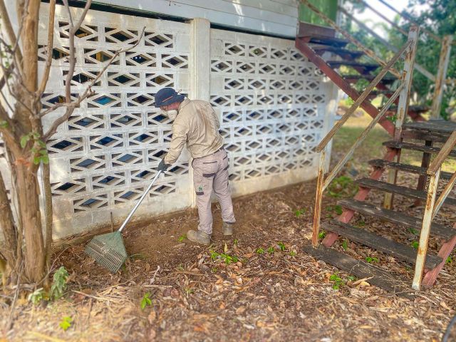 Tsv Termite Specialist 06